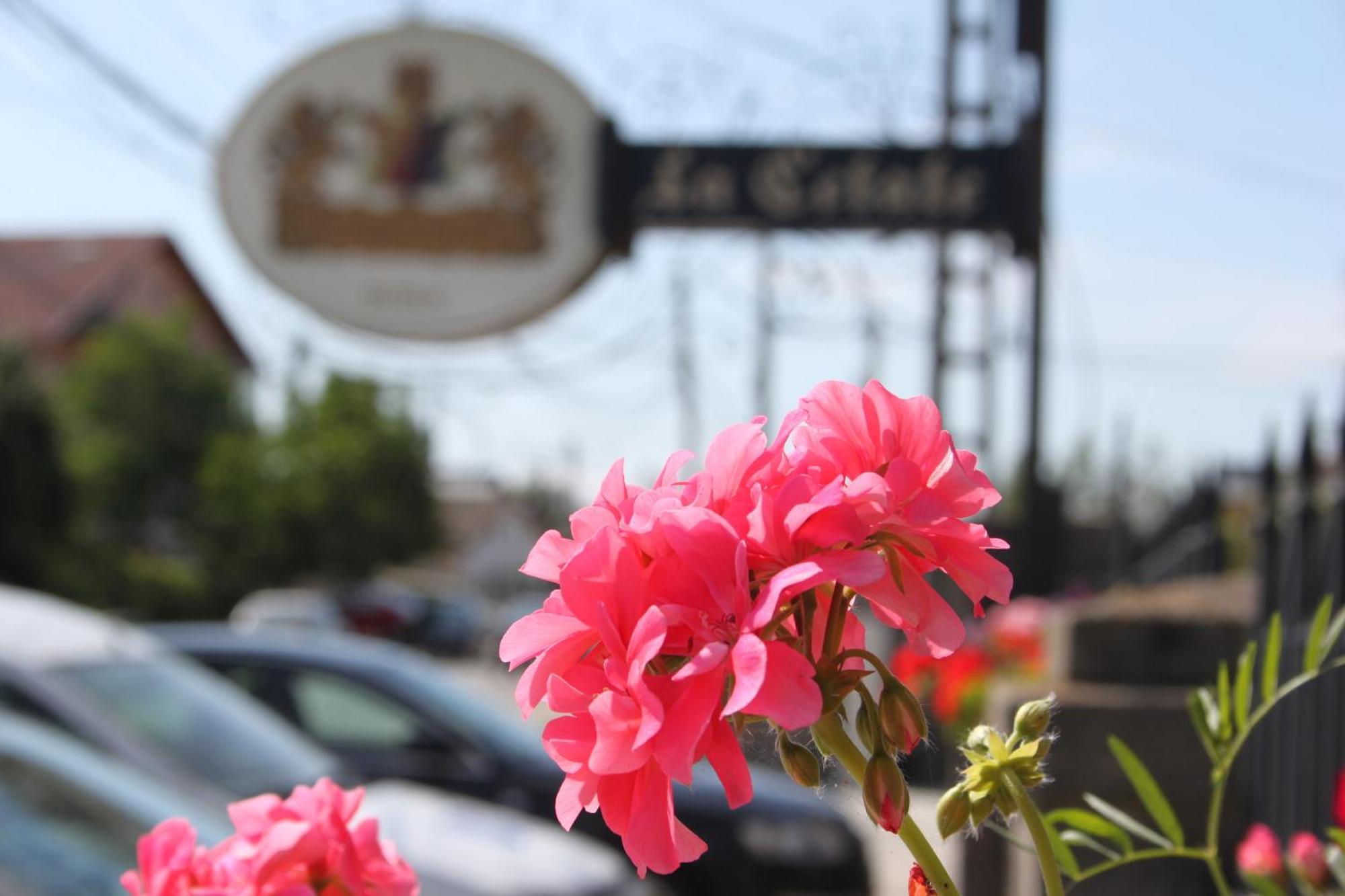 Hotel LaCetate Piteşti Esterno foto